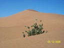 Marocco: Todhra,Taghia, Deserto, South. Oct/Nov/Dec 2000/03/06/07